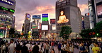 content/projects/japan/tokyo_street_life.htm/preview/shibuya_hachiko_sq._4_.jpg