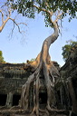 content/stories/Asia/Angkor.htm/preview/_08a9326.jpg