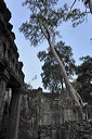 content/stories/Asia/Angkor.htm/preview/_08e5770.jpg