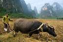 content/stories/Asia/Guilin_China.htm/preview/_09g6623.jpg