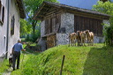 content/stories/Europe/Bergell_Valley,_Switzerland.htm/preview/val_bregaglia_07m0934.jpg