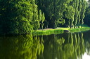 content/stories/Europe/Worlitz_Unesco_garden.htm/preview/_07m3200.jpg