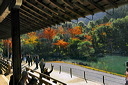 content/stories/Japan/Sagano,_Kyoto_Japan.htm/preview/_08e0058.jpg