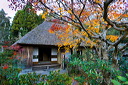 content/stories/Japan/Sagano,_Kyoto_Japan.htm/preview/_08e0151.jpg