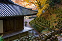 content/stories/Japan/Sagano,_Kyoto_Japan.htm/preview/_08e0456.jpg