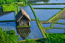 content/stories/Japan/Shirakawa_world_heritage.htm/preview/shirakawa-go_japan_06j0455.jpg