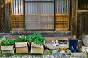 content/stories/Japan/Shirakawa_world_heritage.htm/preview/shirakawa-go_japan_06j0525.jpg
